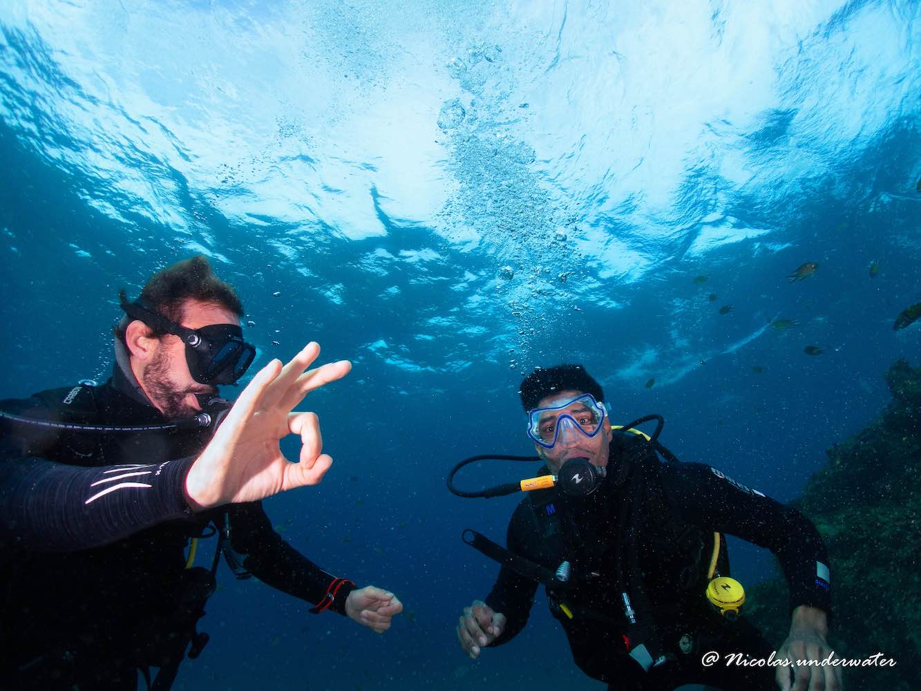 Basic Diver