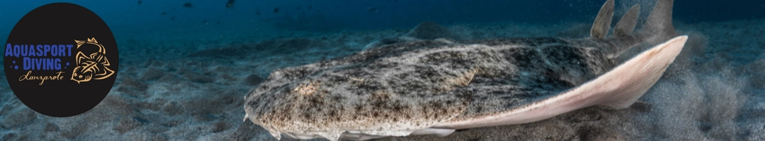 Page d'accueil Aquasport Diving Lanzarote