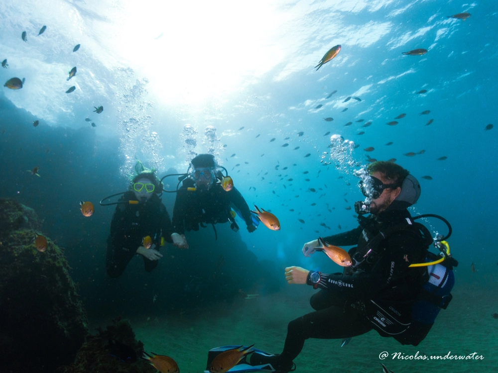 Baptêmes Aquasport Diving Lanzarote