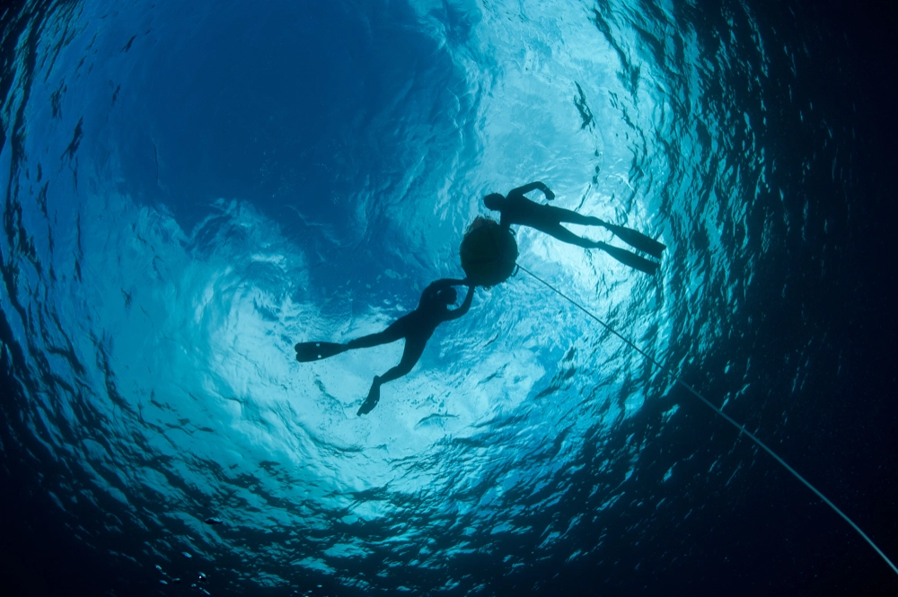 Apnée Aquasport Diving Lanzarote