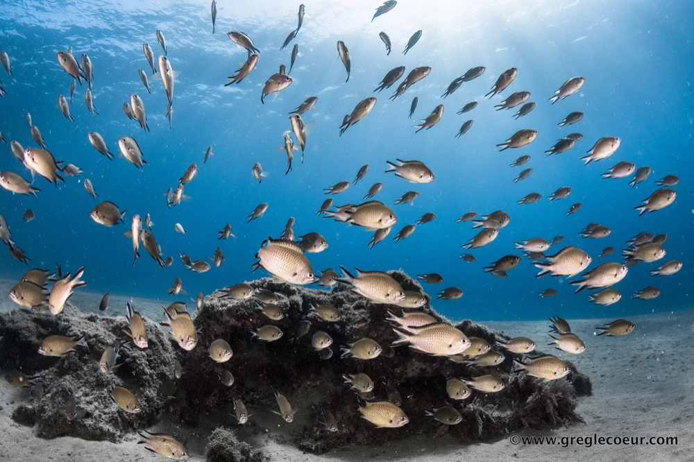 Aquasport Diving Lanzarote