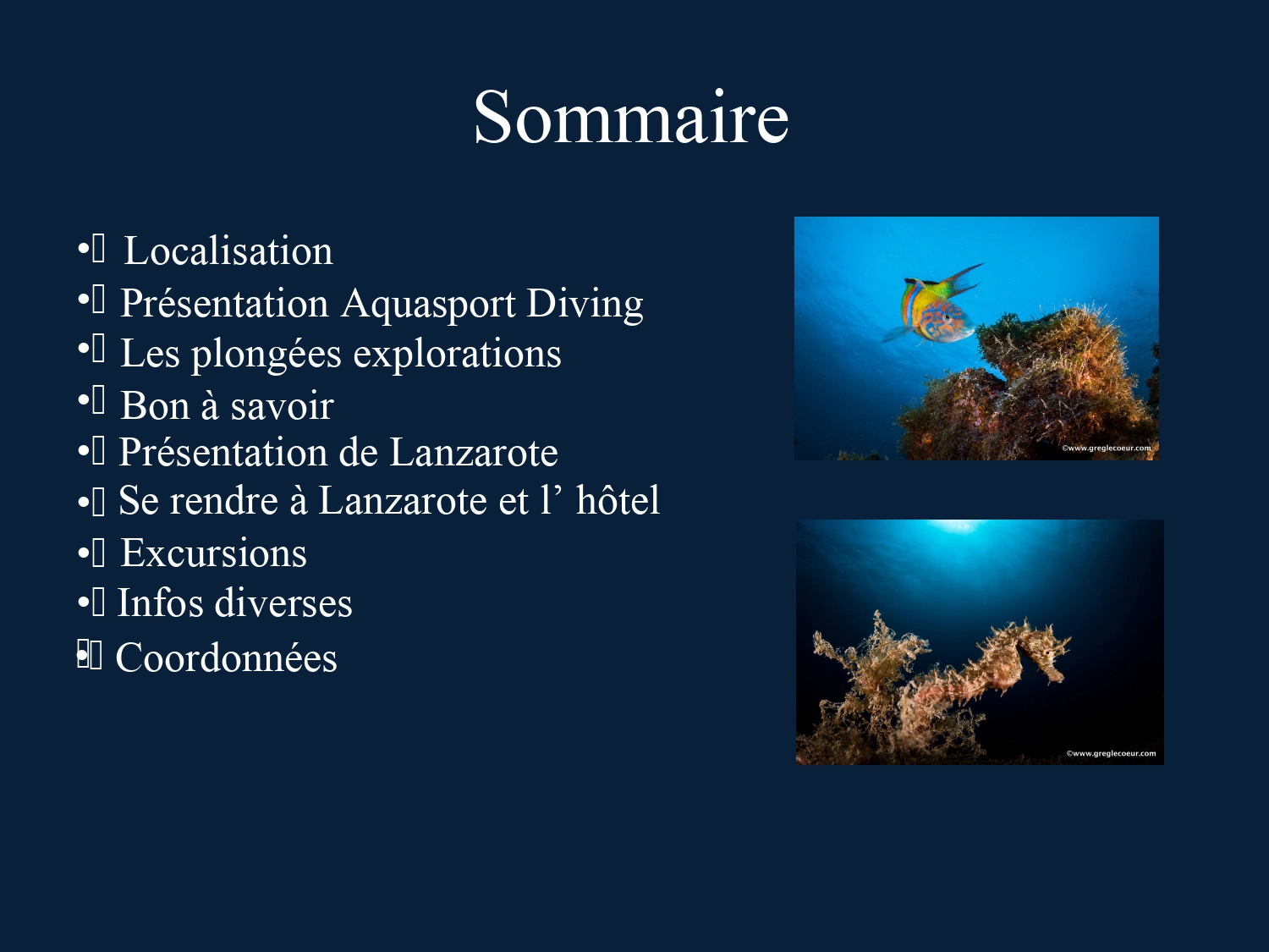 Sommaire