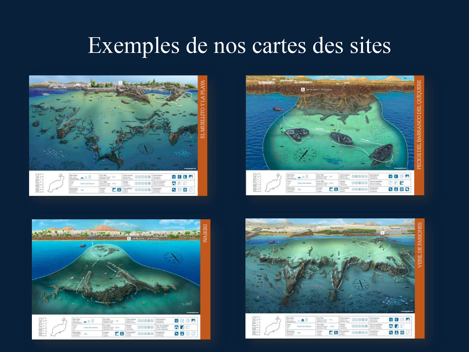 Exemples de nos cartes des sites