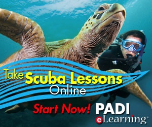 Scuba Diver Padi