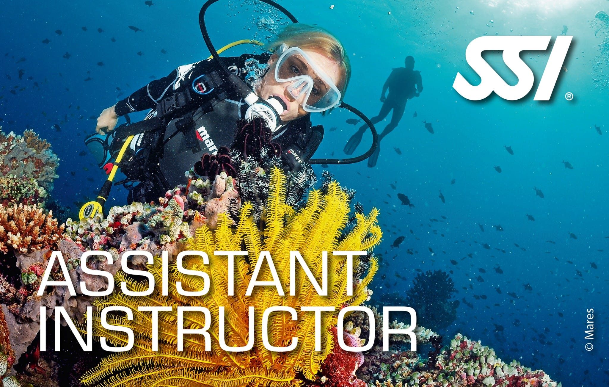 Tarjeta de certificación SSI Assistant Instructor
