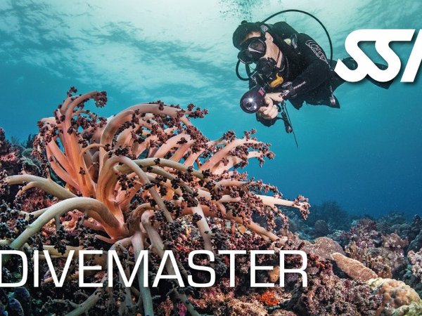 Alumno Divemaster en acción