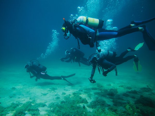 Familia en actividad de buceo