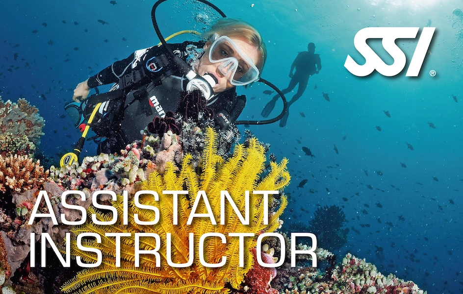 SSI Dive Guide