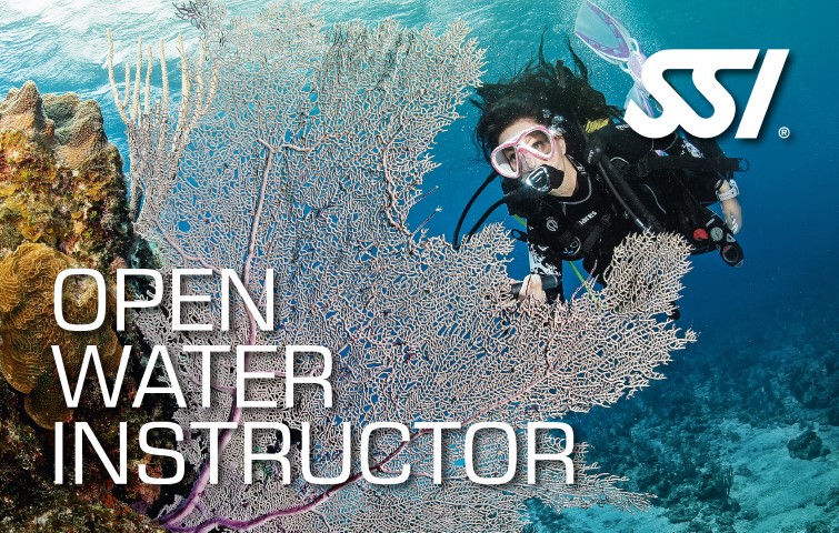 SSI Divemaster