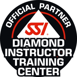 Instruction SSI